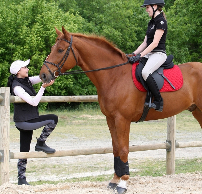 Horse riding experience
